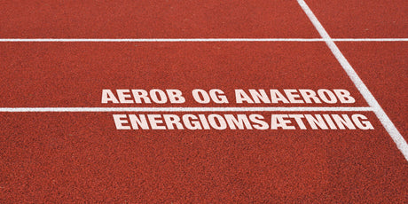 Aerob och anaerob energiomsättning om du vill ta din träning på allvar